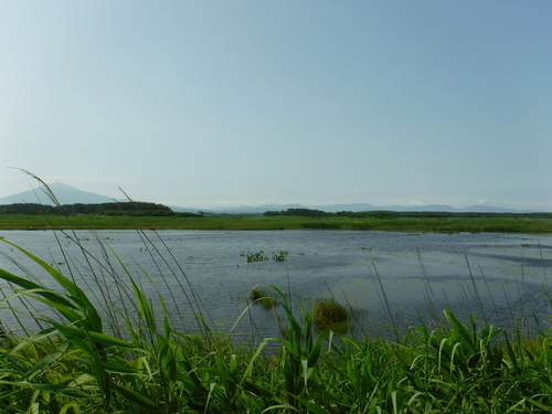 2016_0805_09382600.jpg
