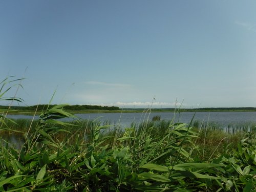 2016_0805_09390700.jpg
