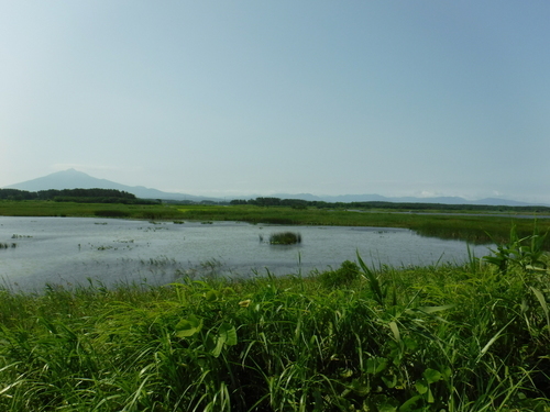 2016_0805_09391500.jpg