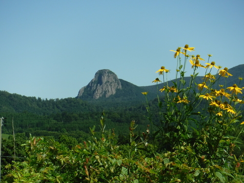 2016_0811_09393000.jpg