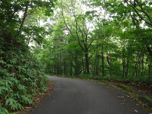 2016_0816_15004900.jpg