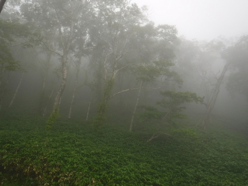 2016_0819_13304600.jpg