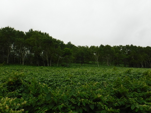 2016_0819_13513800.jpg