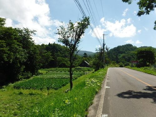 2016_0824_10254800.jpg