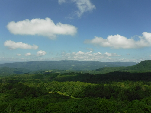 2016_0824_11201300.jpg