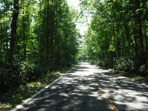 2016_0824_12585800.jpg