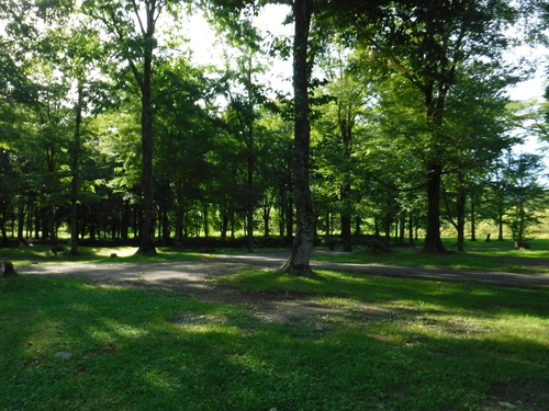 2016_0828_15200700.jpg