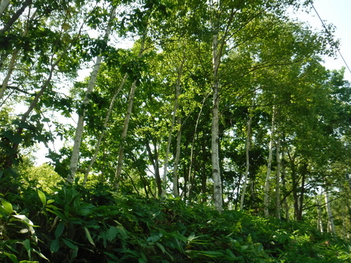 2016_0902_11142100.jpg