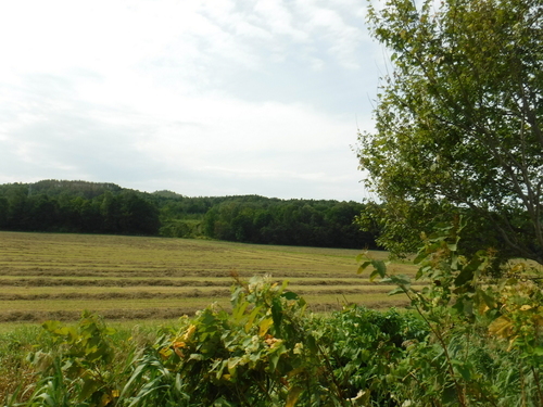 2016_0902_13141600.jpg