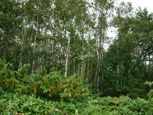 2016_0903_11514200.jpg