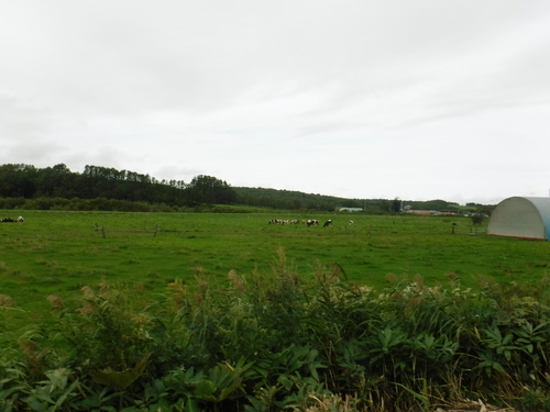 2016_0903_12130200.jpg
