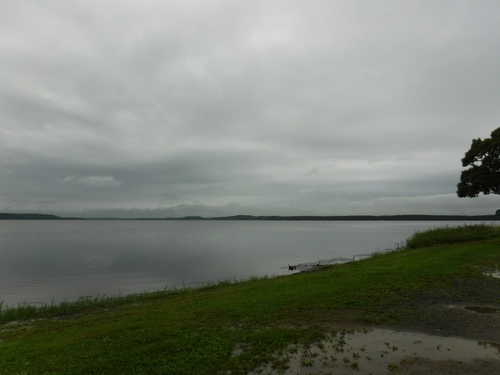 2016_0906_08445500.jpg