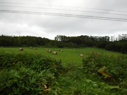 2016_0911_10375000.jpg
