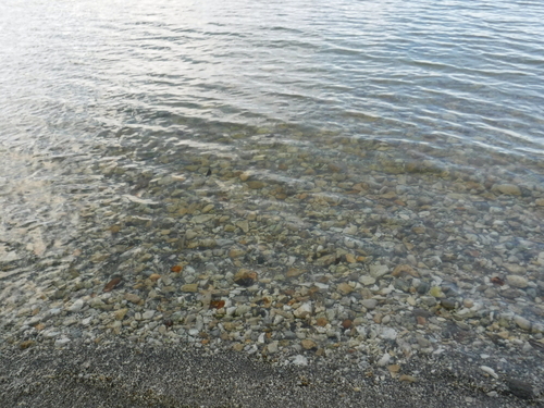 2016_0925_16001100.jpg