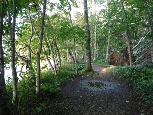 2016_0925_16012500.jpg