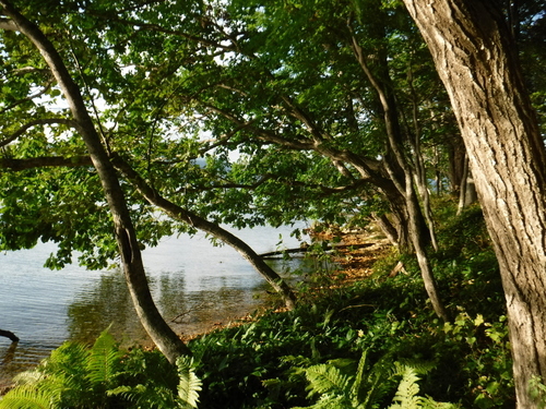 2016_0925_16023500.jpg