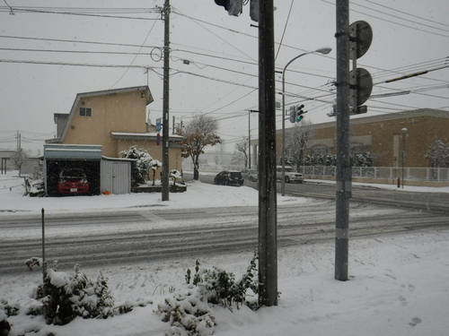2016_1103_13243800.jpg