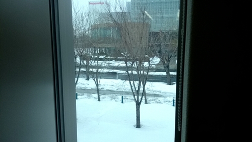 20170302_124420486.jpg