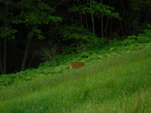 2017_0627_08223500.jpg