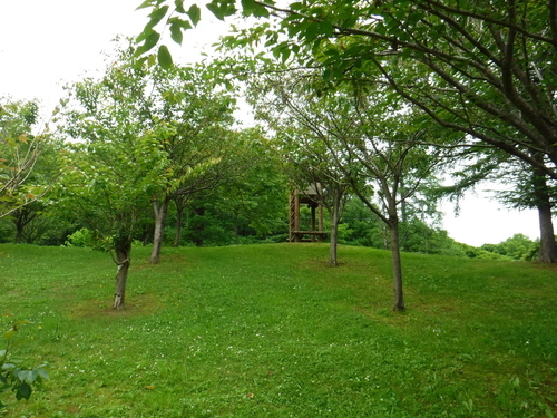 2017_0703_14494600.jpg