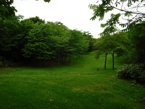 2017_0703_15261400.jpg