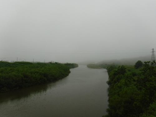 2017_0705_10314800.jpg