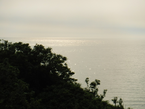 2017_0705_16303300.jpg