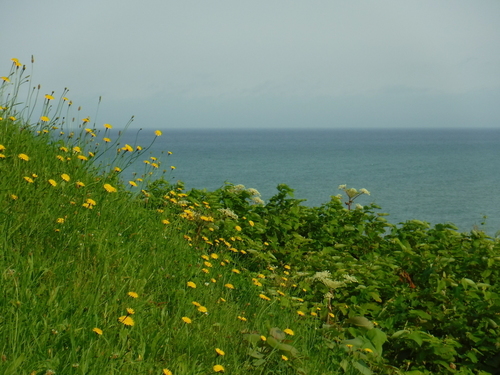 2017_0707_07295800.jpg