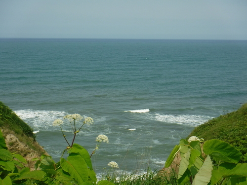 2017_0707_09270900.jpg