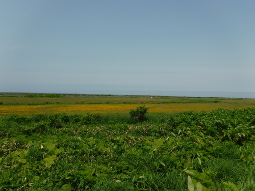 2017_0707_10083700.jpg