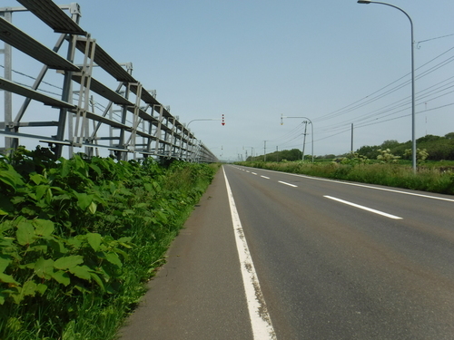 2017_0707_10201200.jpg