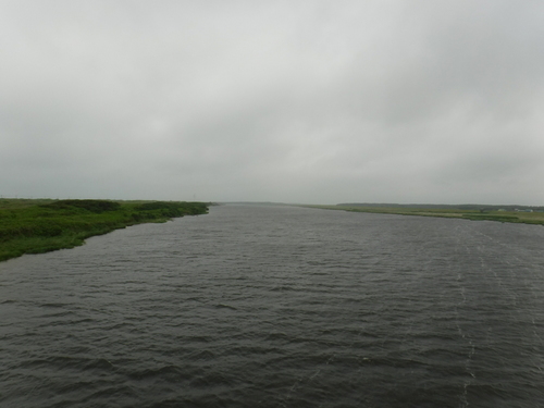 2017_0708_08295900.jpg