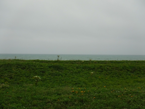 2017_0708_08315400.jpg
