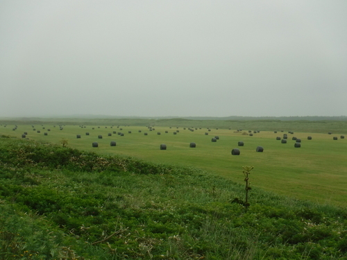 2017_0708_09185300.jpg