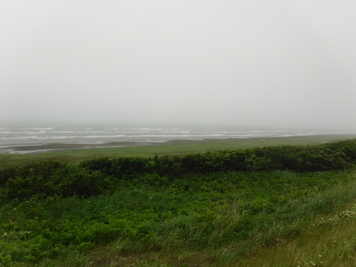 2017_0708_10224100.jpg