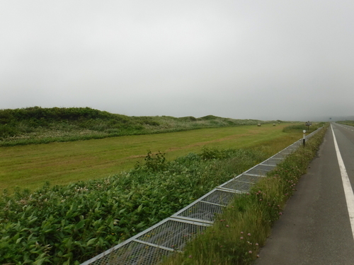 2017_0708_10314400.jpg