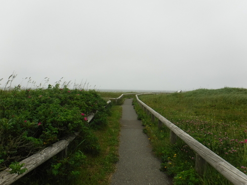 2017_0708_10514400.jpg