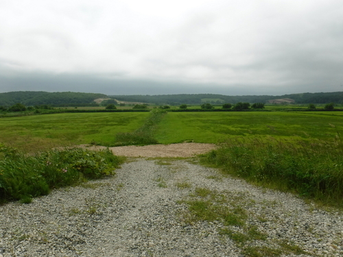 2017_0709_09365300.jpg