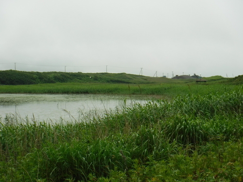 2017_0710_10351000.jpg
