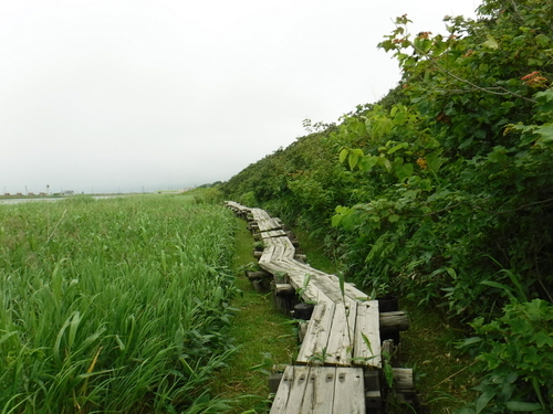 2017_0710_10424900.jpg