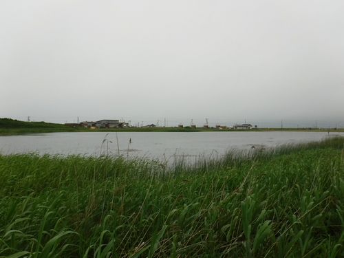 2017_0710_10471400.jpg