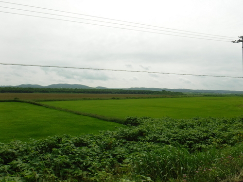 2017_0711_09184400.jpg
