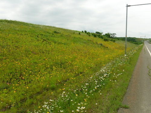 2017_0711_09451200.jpg