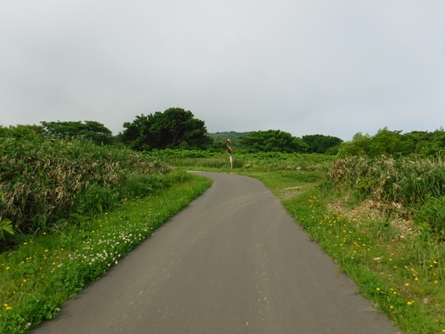 2017_0714_07415400.jpg