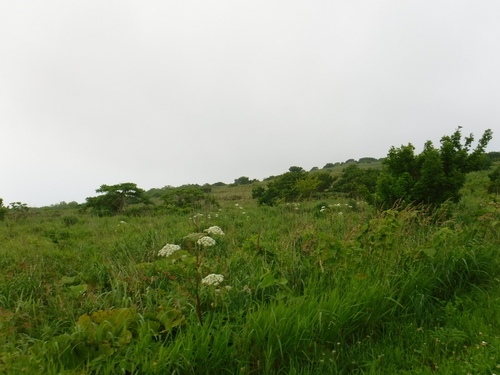 2017_0714_07460200.jpg