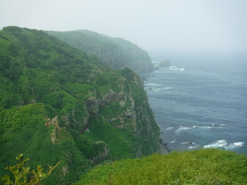 2017_0714_08055100.jpg