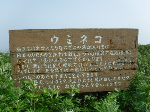 2017_0714_08494400.jpg