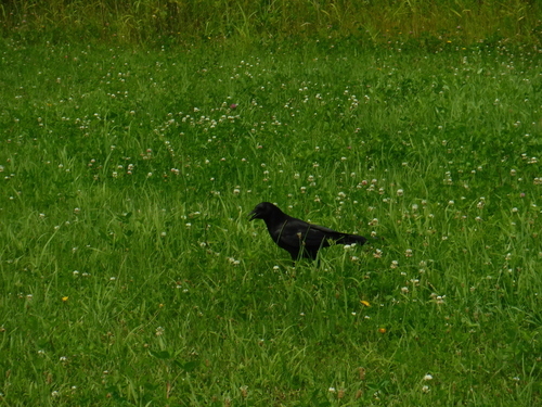 2017_0714_11034900.jpg