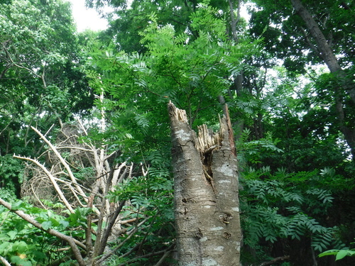 2017_0714_14325100.jpg