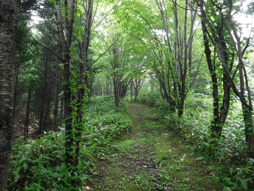 2017_0716_09293000.jpg